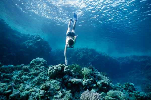Snorkel en el Mediterráneo : 5 destinos