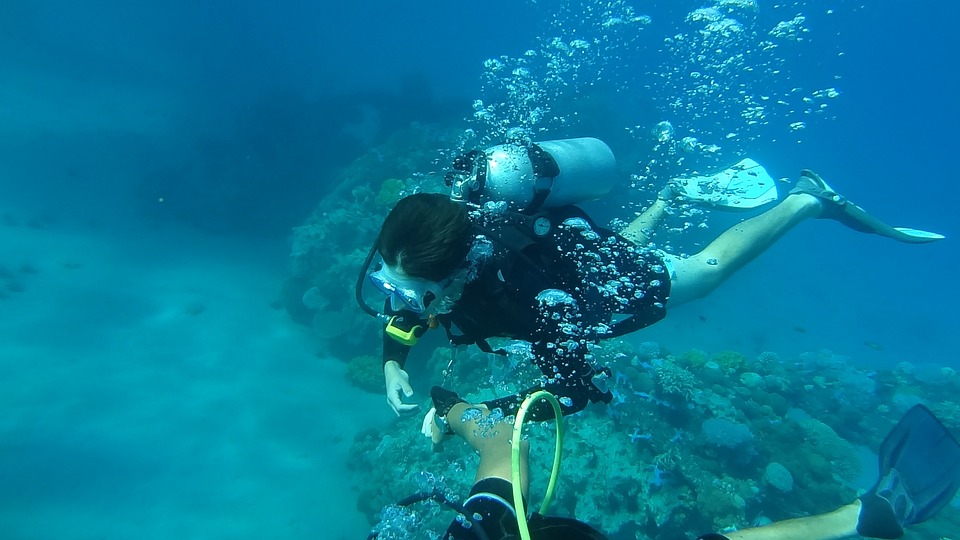 Todo lo que necesitas saber sobre el buceo